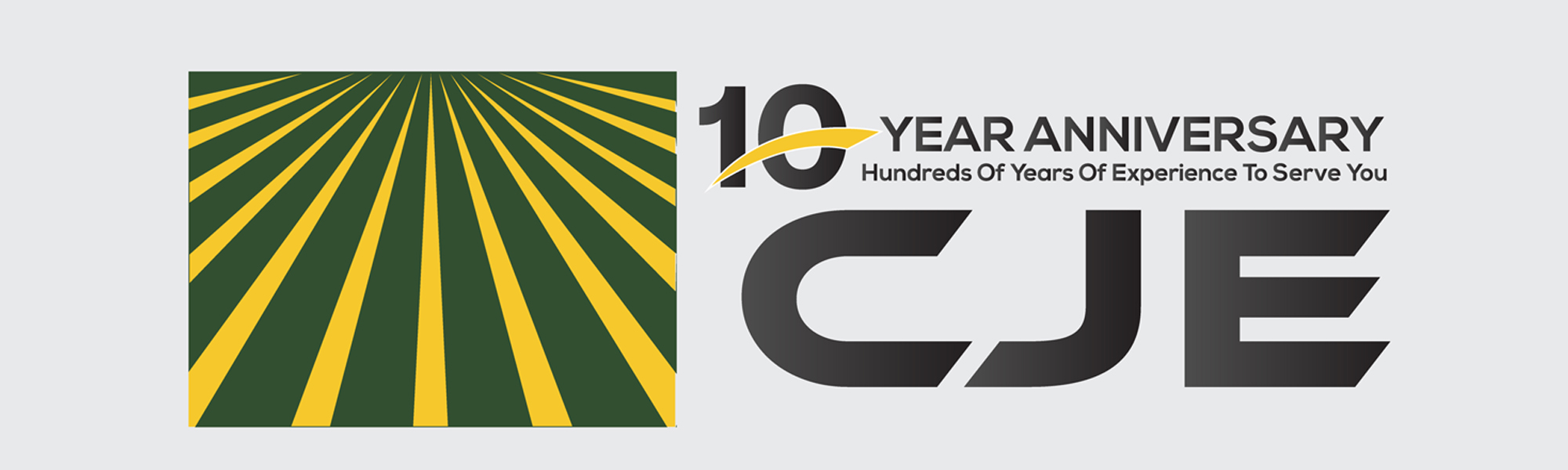 website banner 10 year logo